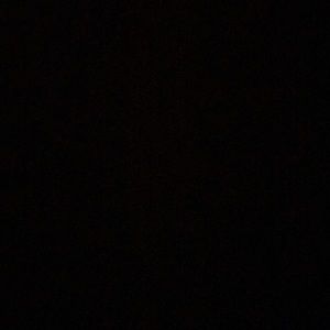 Meet your Posher, Bree